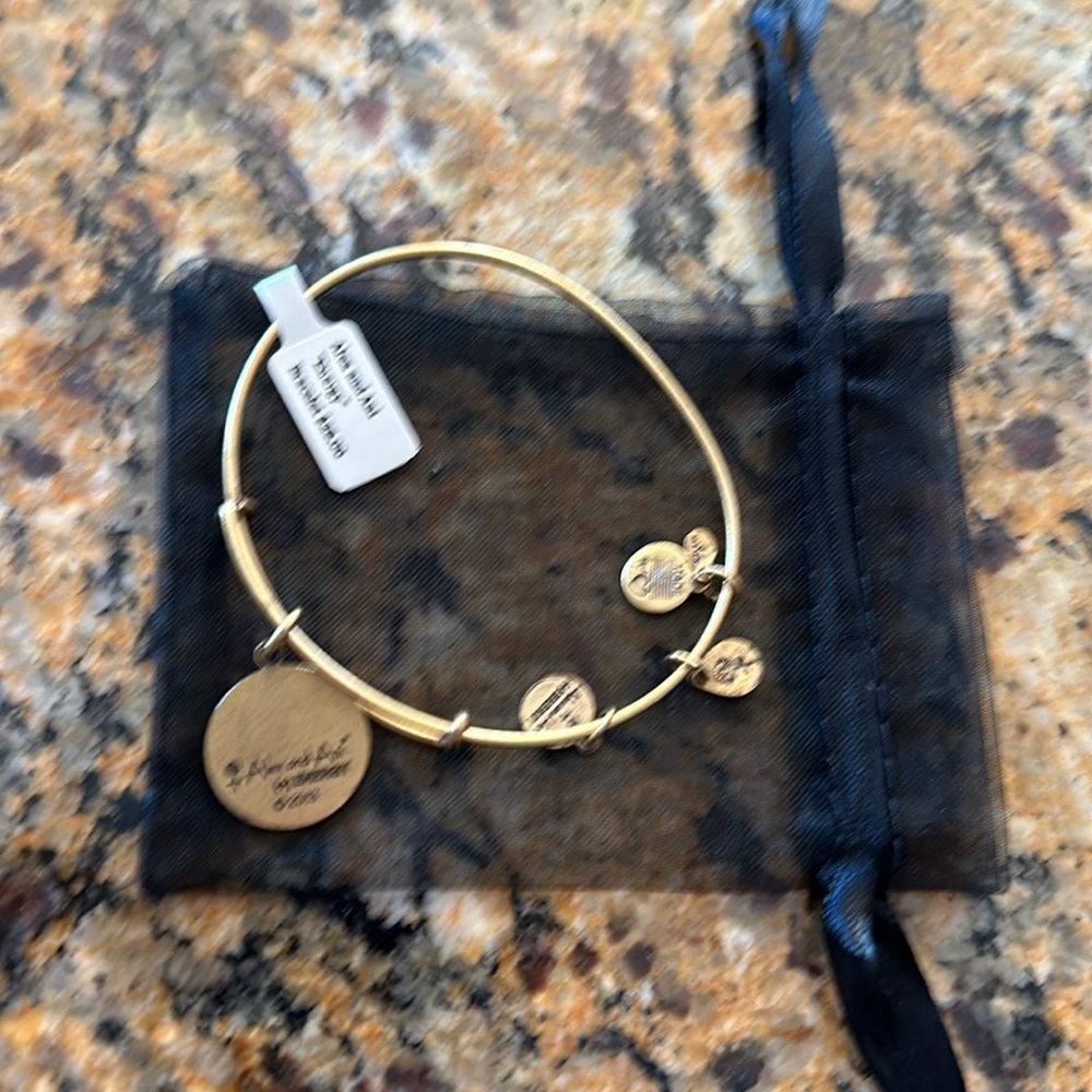 Alex and Ani ❤️ Energy Bangle Charm Bracelet~NWT - Picture 5 of 5
